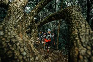 BIB: 
                            <button type="button" onclick="openModal(25703875)" class="btn btn-primary btn-sm float-right btn-popup" data-toggle="modal" data-target=".modal-high-quality">
                        <i class="fas fa-shopping-cart"></i> Add to Cart
                    </button>
                                            <button type="button" onclick="isThisMe(25703875, true)" class="btn btn-success btn-sm float-right btn-popup btn-isme hidden" data-toggle="tooltip" data-placement="bottom" title="นี่คือรูปของคุณใช่ไหม คลิกที่นี่เพื่อเอาเข้าอัลบั้ม">
                        <i class="fas fa-plus"></i> Add to album
                    </button>
                    <button type="button" onclick="isThisMe(25703875, false)" class="btn btn-warning btn-sm float-right btn-popup btn-isnotme hidden">
                        <i class="fas fa-ban"></i> Remove from album
                    </button>